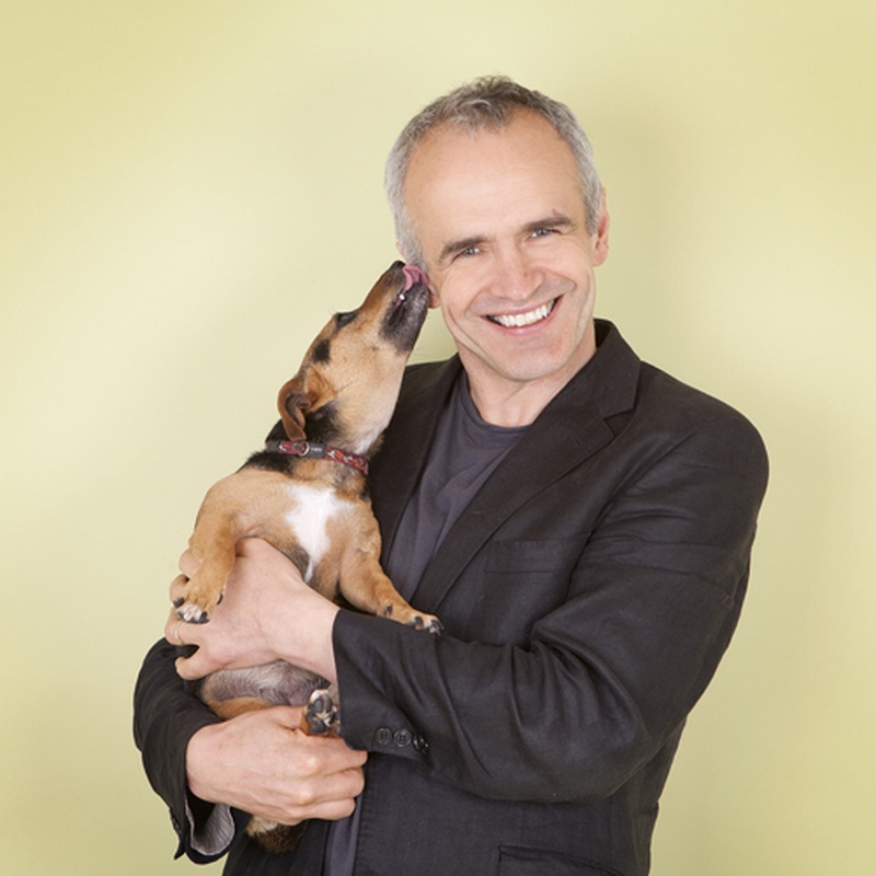 whippet home boarding