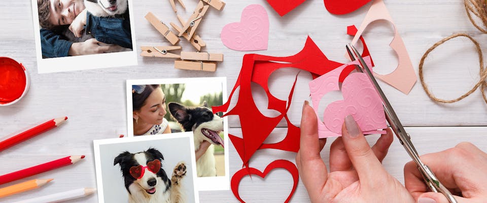 Polaroid picture card - a dog-themed Valentine's day craft idea