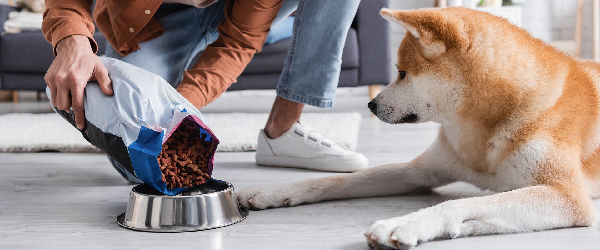 What Does Hypoallergenic Mean In Dog Food