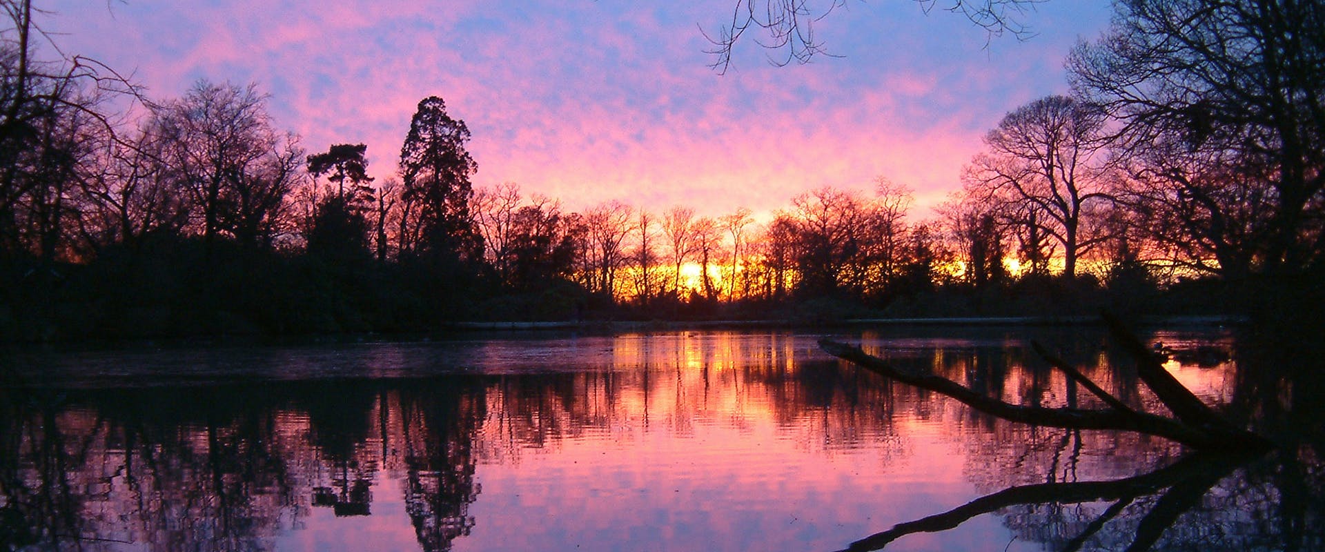 Sunset over Danbury Lakes, Danbury Country Park 