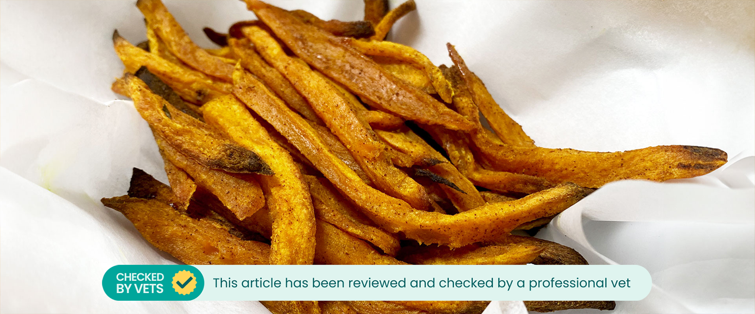 healthy dog treat recipes with sweet potatoes