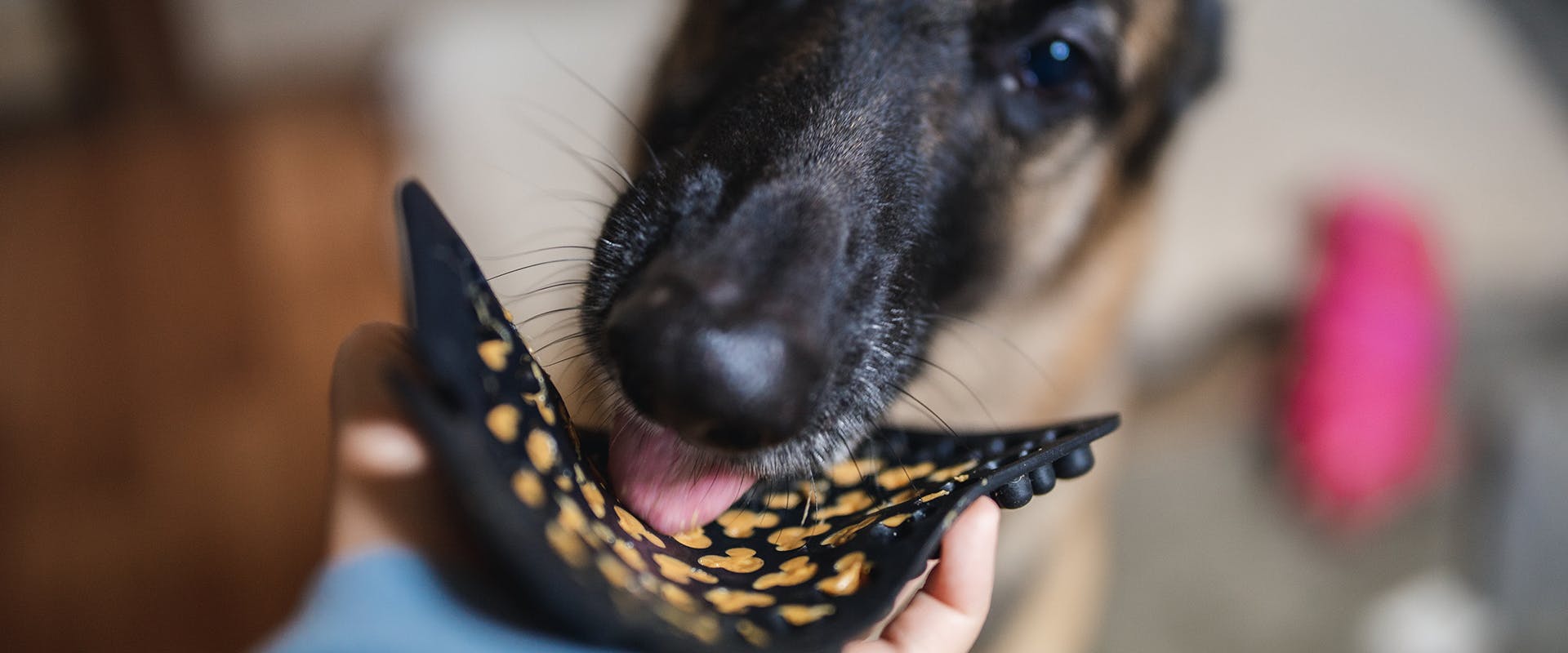 A dog eating peanut butter from a lick mat