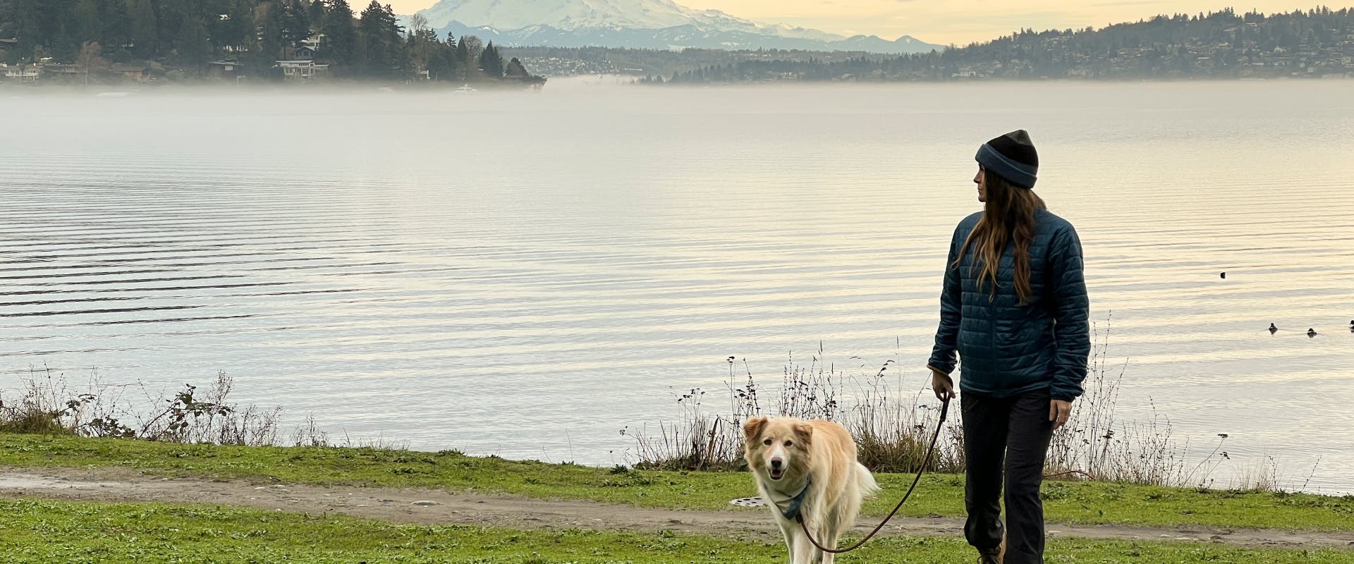 a fluffy blond pup on a dog walk with a human next to the Seattle seafront