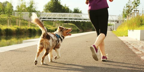 Dog and owner running.