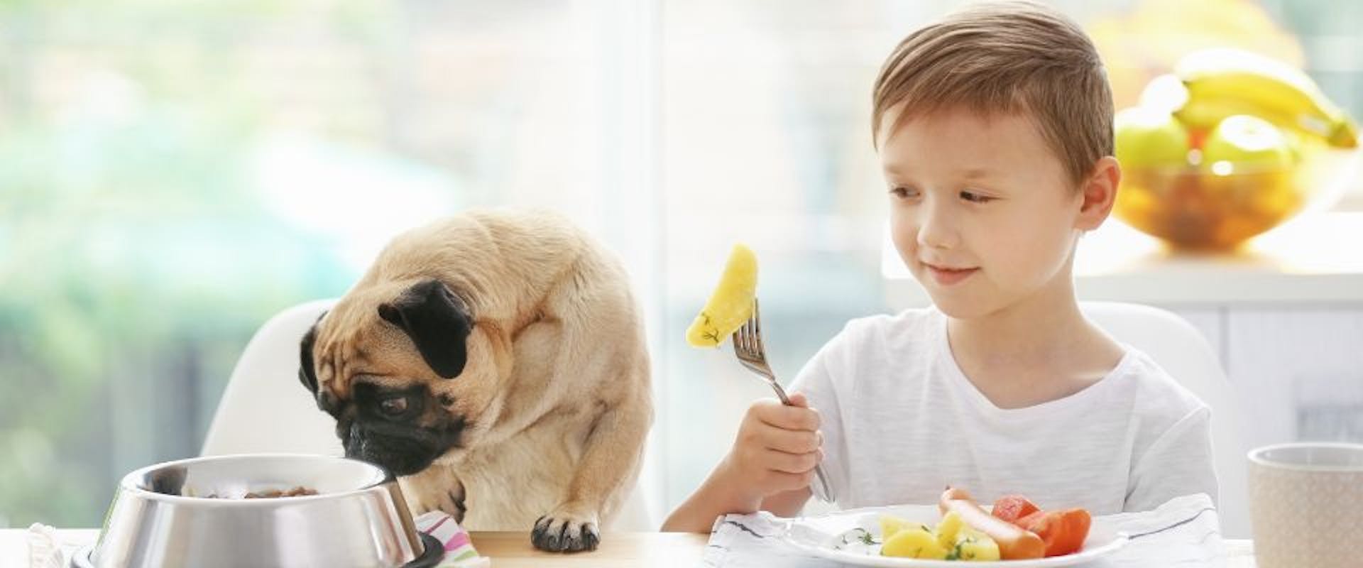 Child offering potato to dog