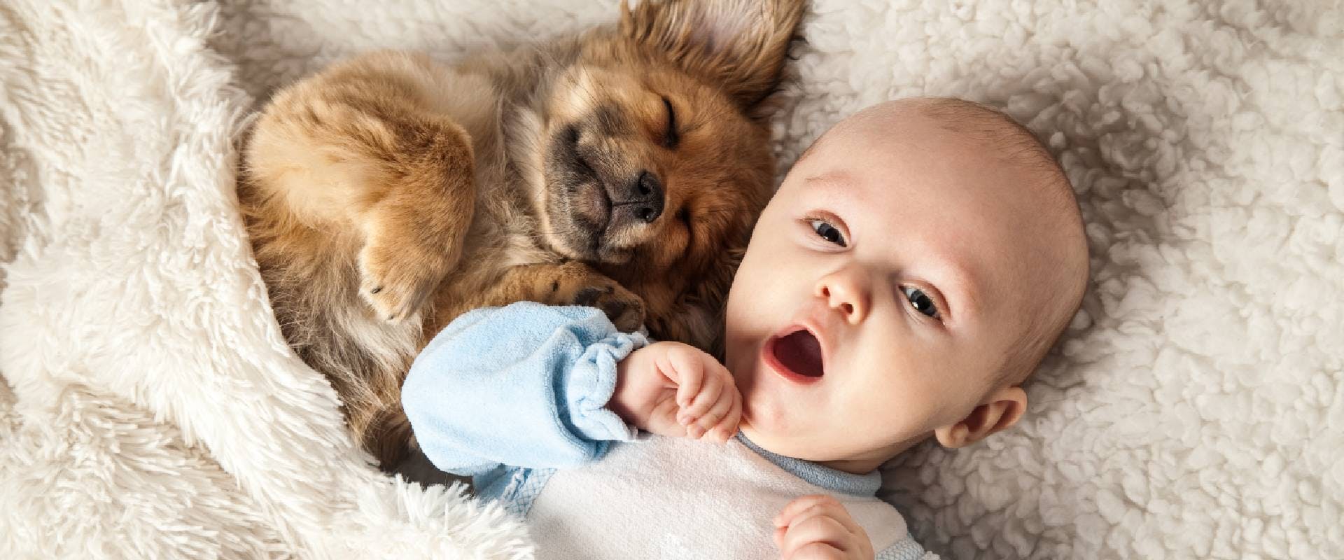 Yawning baby with a puppy