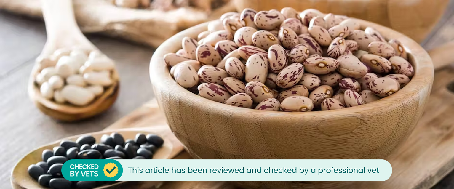 Assortment of beans and legumes in wooden bowls and spoons