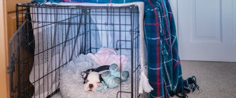 A dog sleeping in a crate covered with blankets