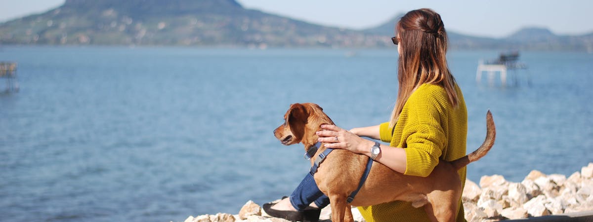 Woman sitting overlooking the ocean, with her arm around a small brown dog