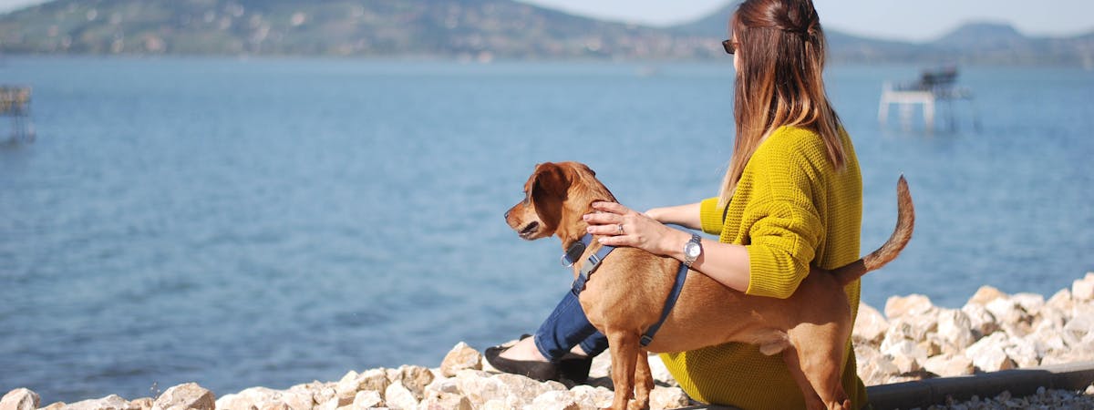 Woman and a dog sitting overlooking the sea
