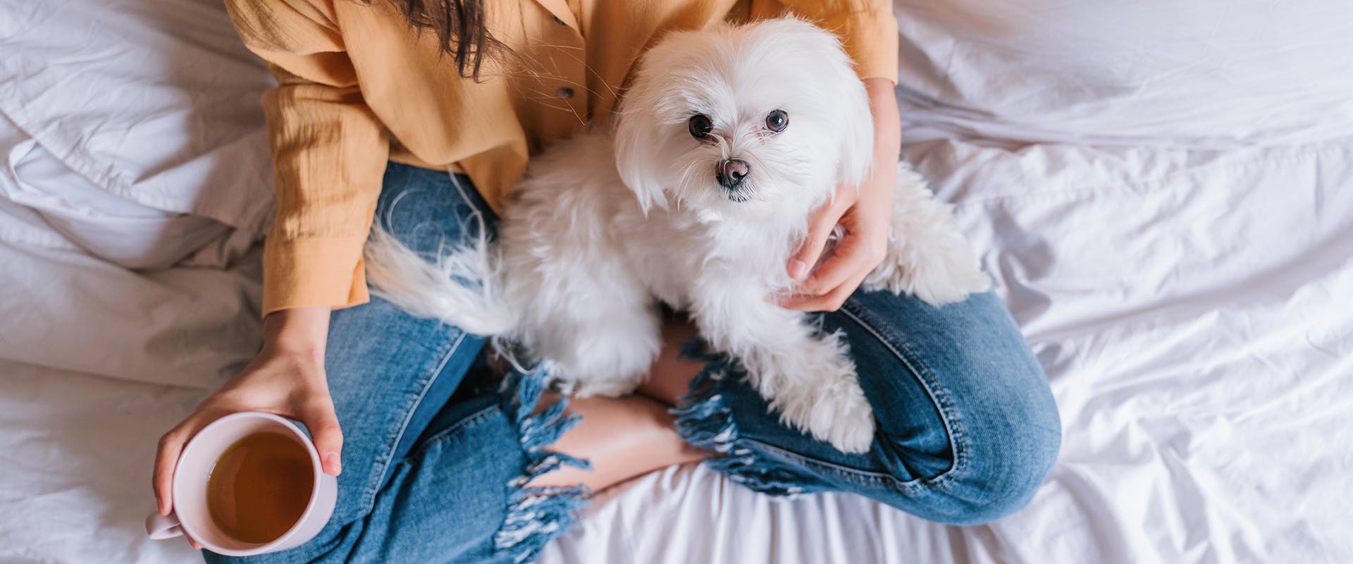 A woman sitting cross-legged on a bed, holding a cup of coffee in her right hand with a fluffy Maltese dog sitting on her lap