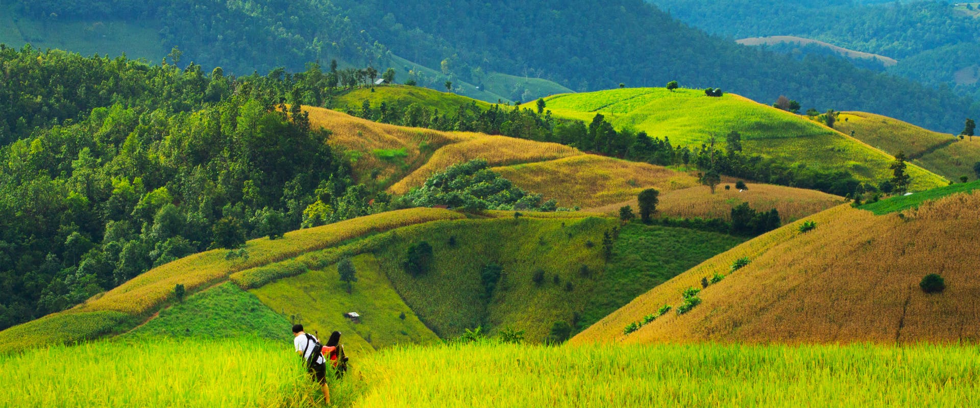 a couple walking through a grass field in a the valley of a rural area
