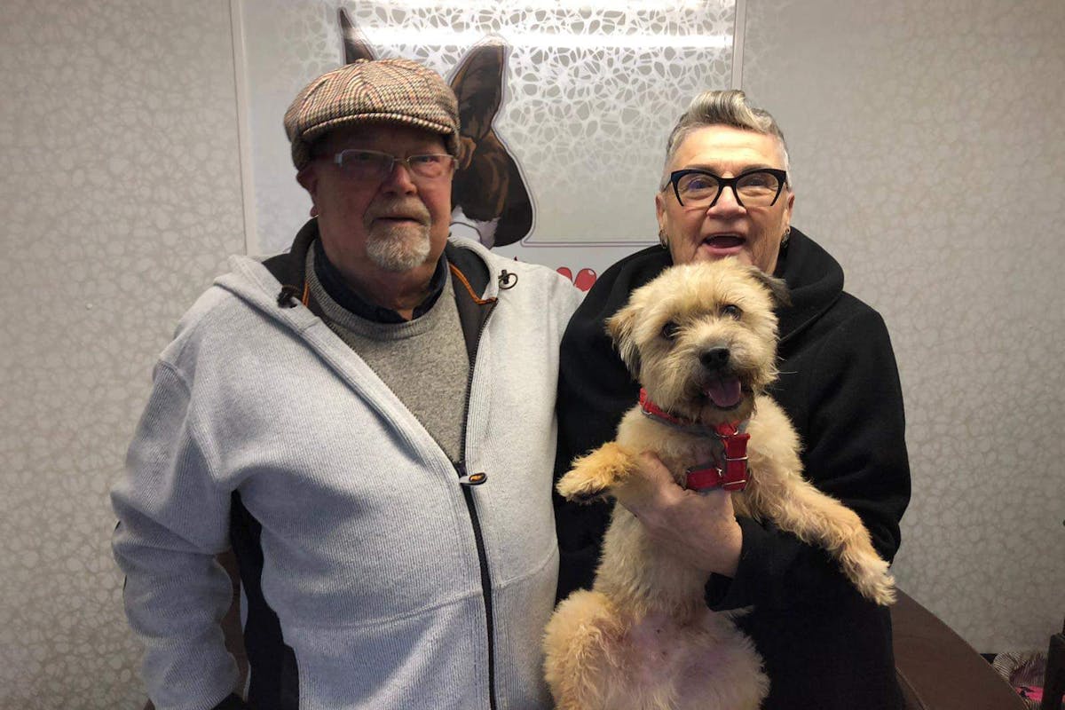 A man standing next to a woman, who is smiling while holding a small dog