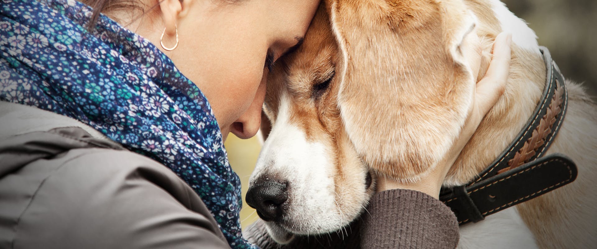 An owner embraces their dog.