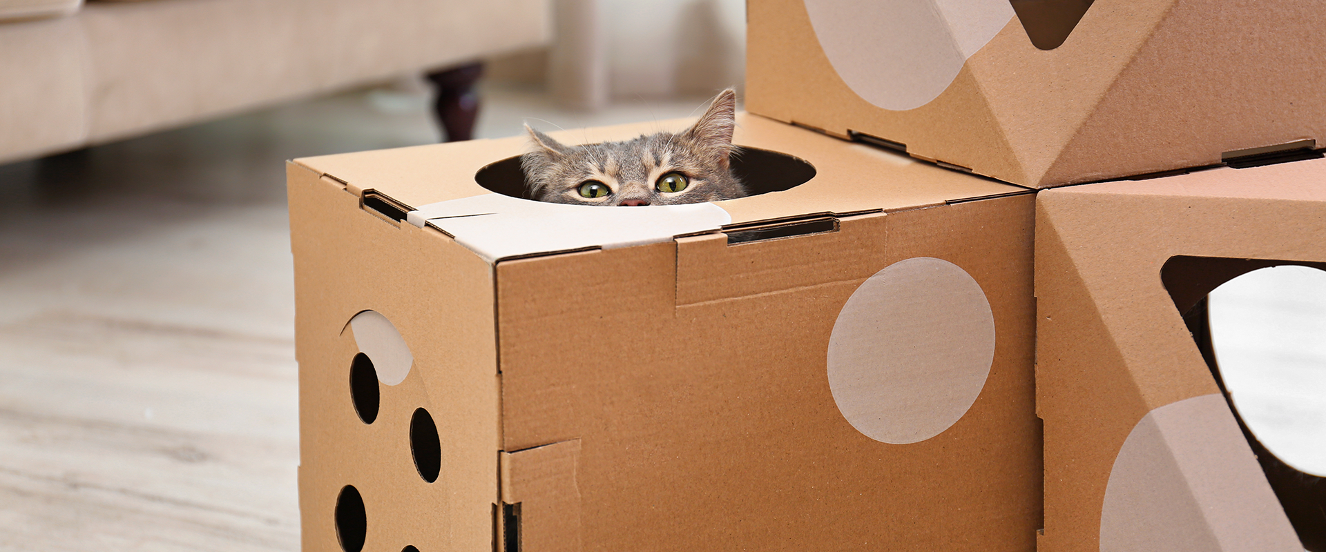 17 Cardboard Cat House Picks to Call Home Sweet Home ...
