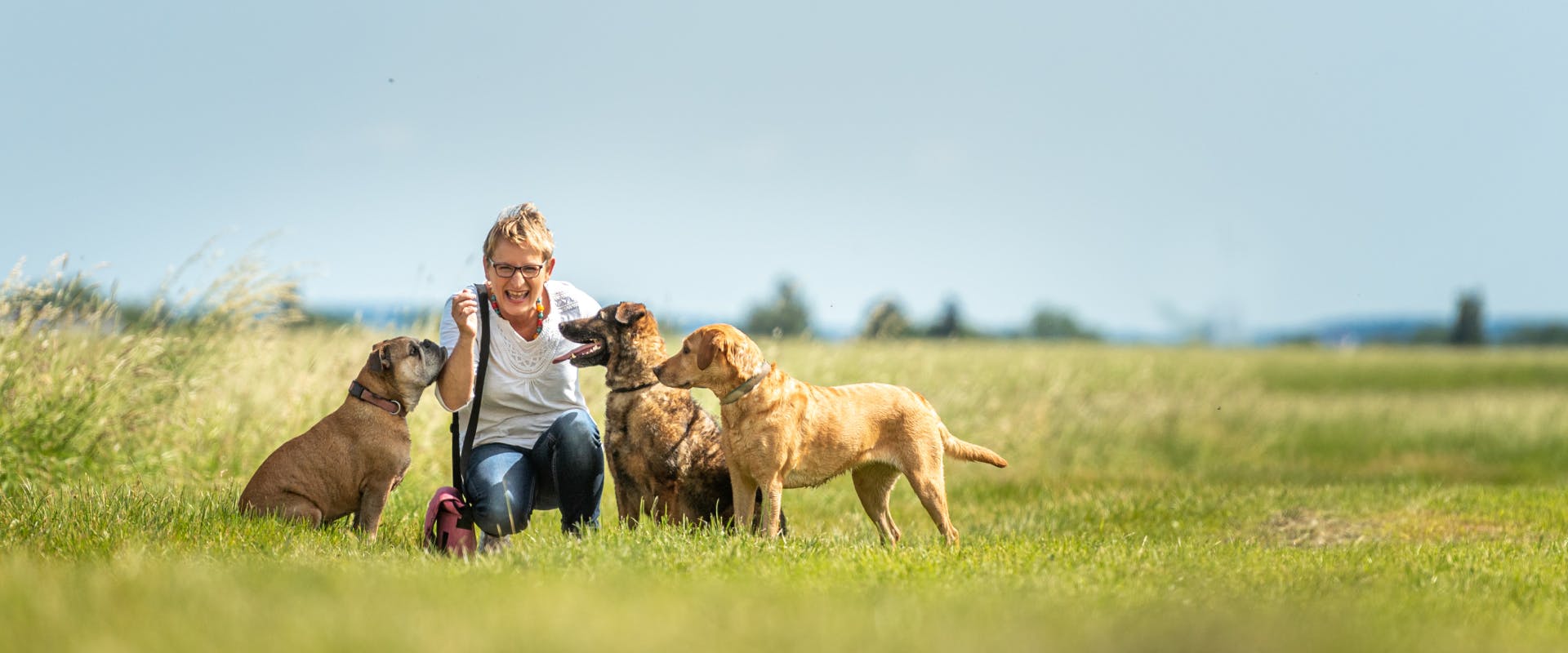 a woman sat in a field with three dogs who are off leash whilst on a dog walk