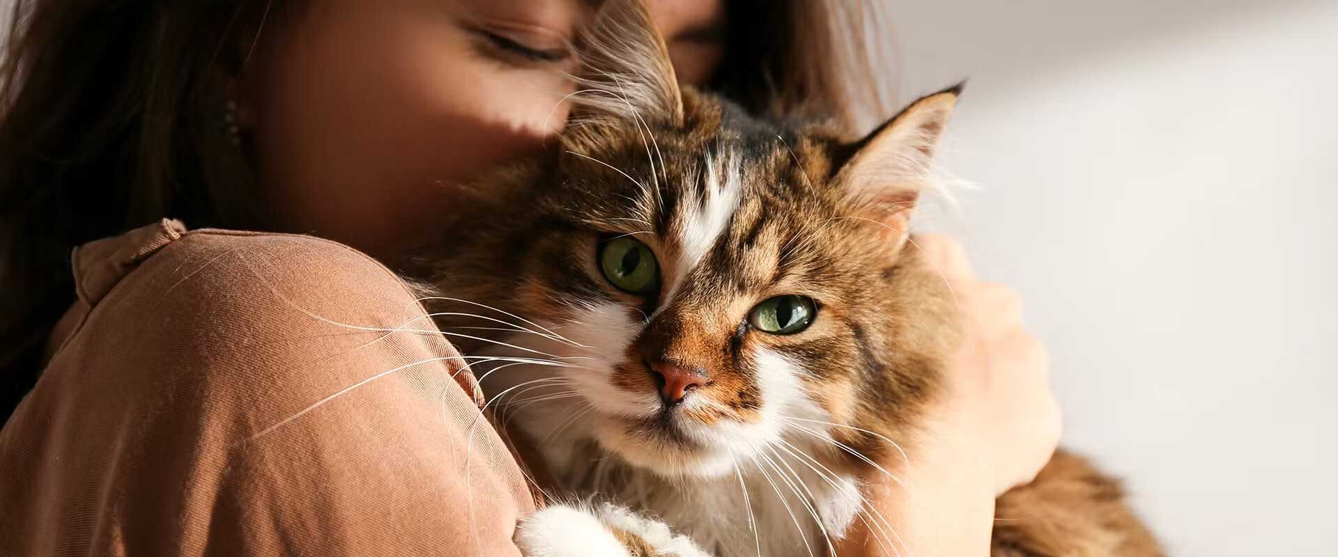 A woman hugging and kissing a fluffy cat