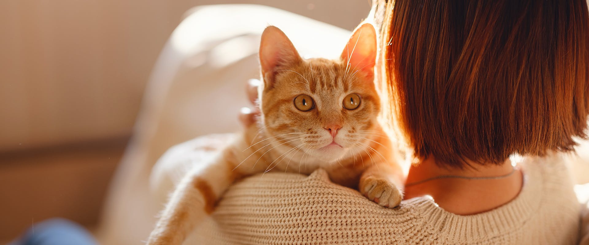 A woman cuddling an orange cat