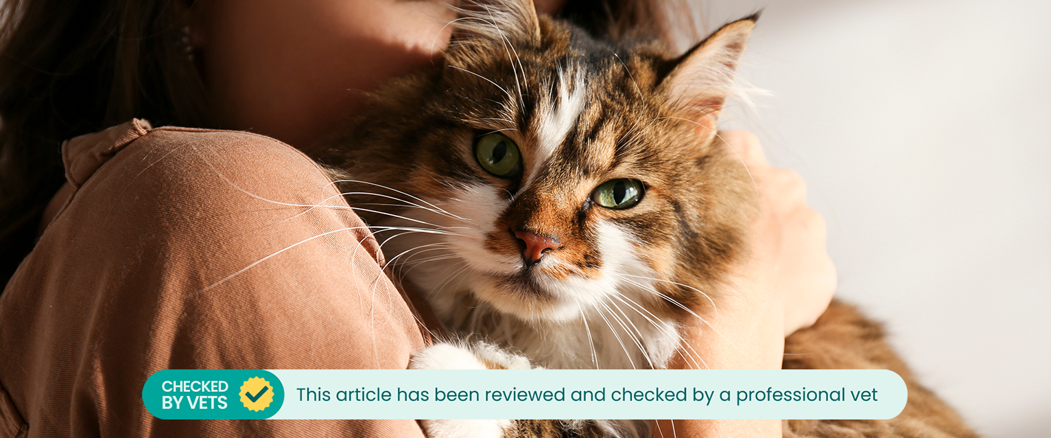 A woman holding a cat in her arms