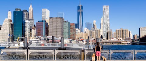 two dogs and their owner looking the the nyc skyline