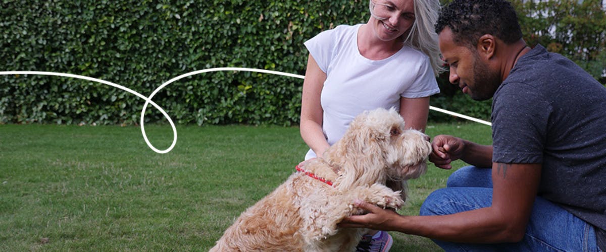 Pet sitters meeting their new dog friend.