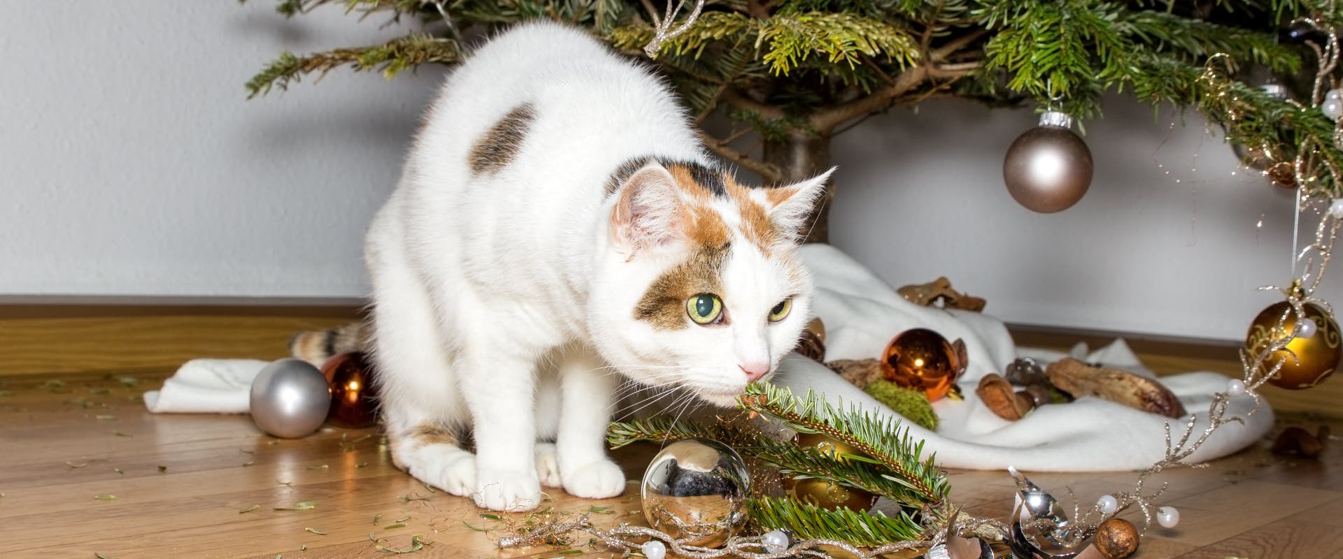 a cat sniffing a broken branch and fallen decorations underneath a christmas tree