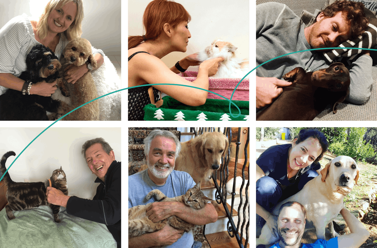 Thank you, pets | TrustedHousesitters.com