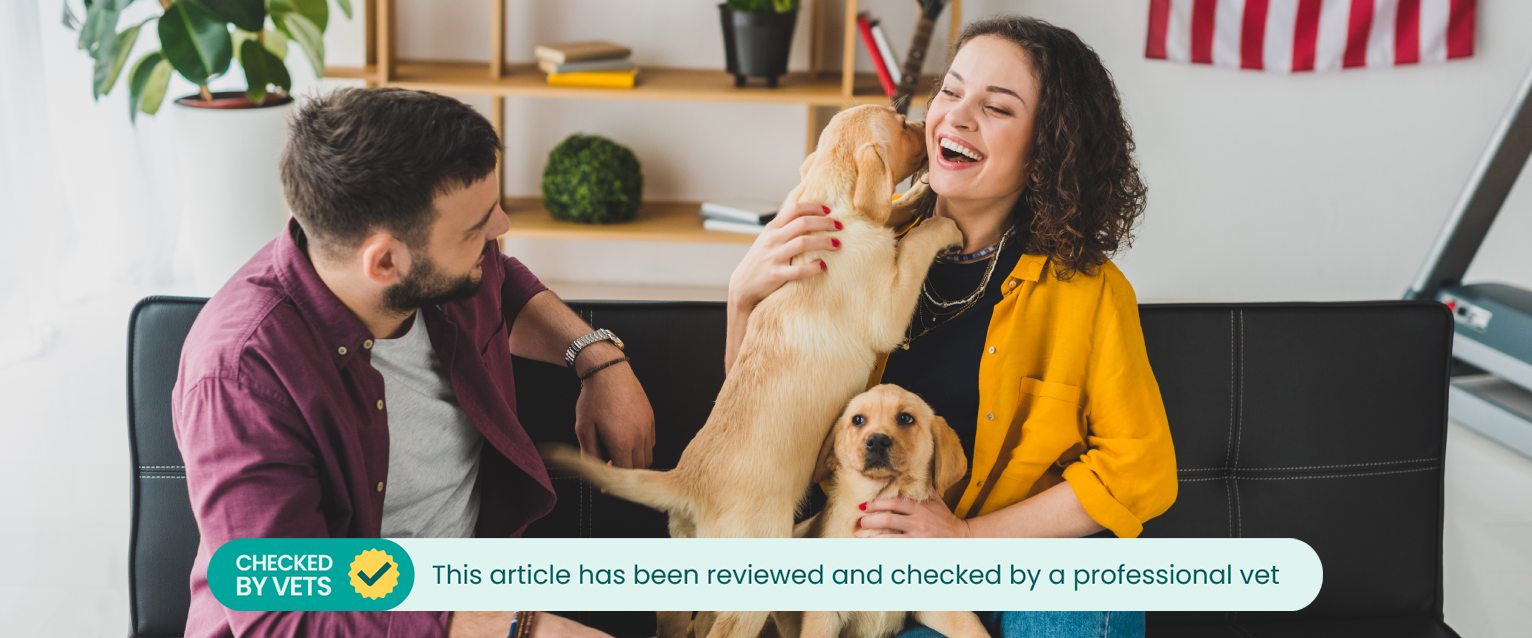 A woman holding a puppy, sitting on the sofa next to a man