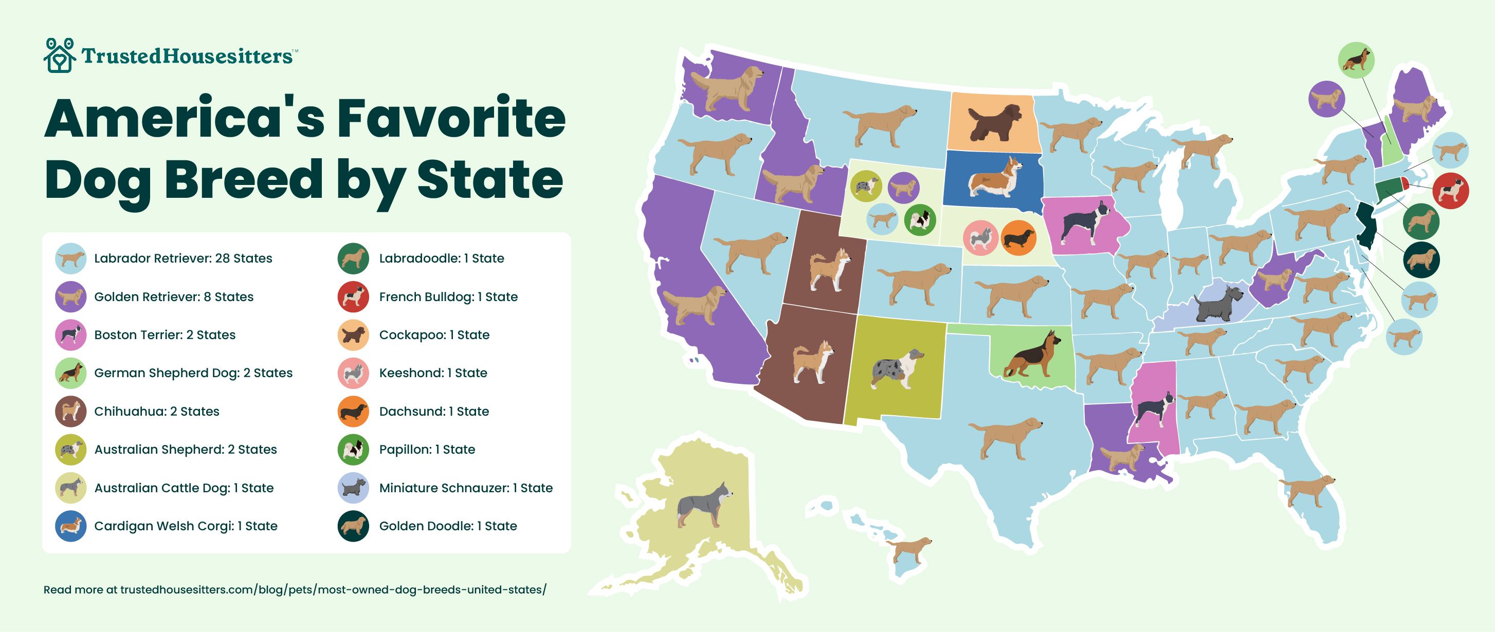 Revealed: The Most Owned Dog Breeds in US States and Cities ...