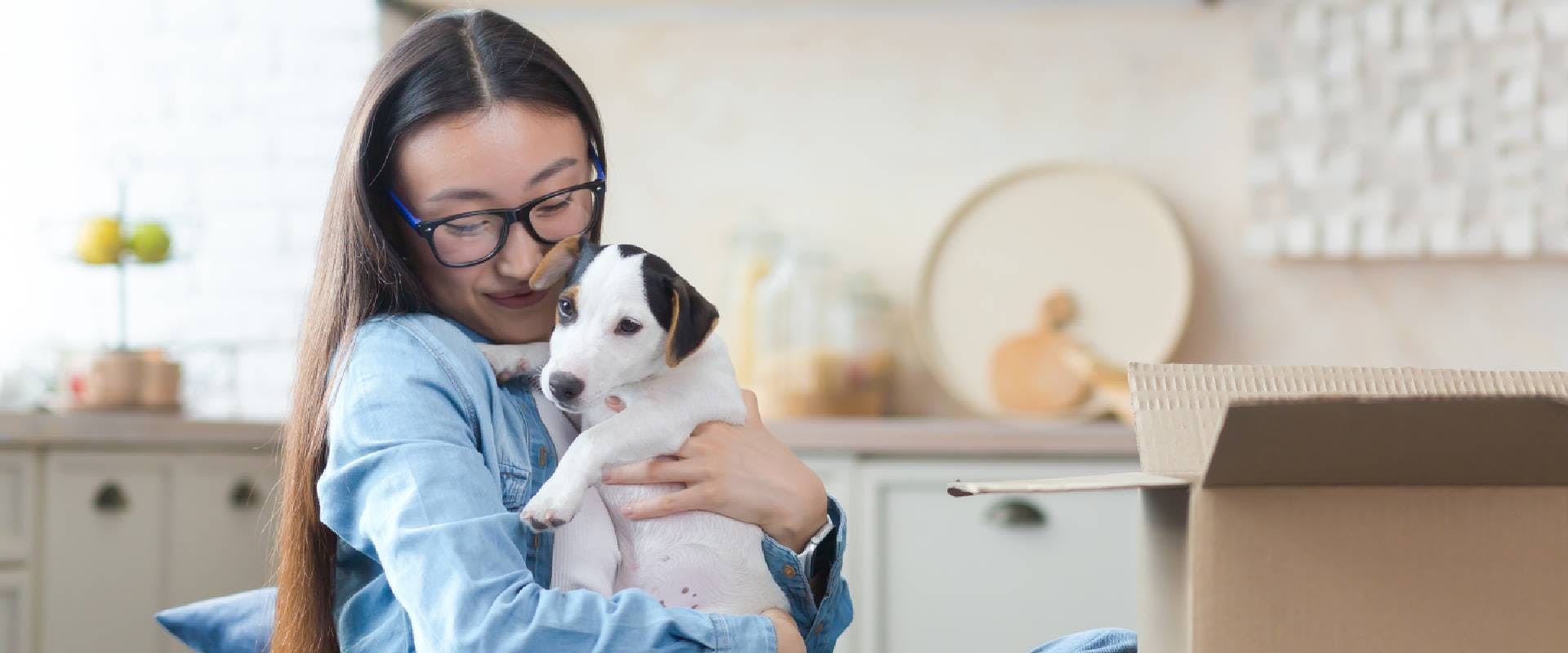 Dog mom holding a puppy Jack Russell