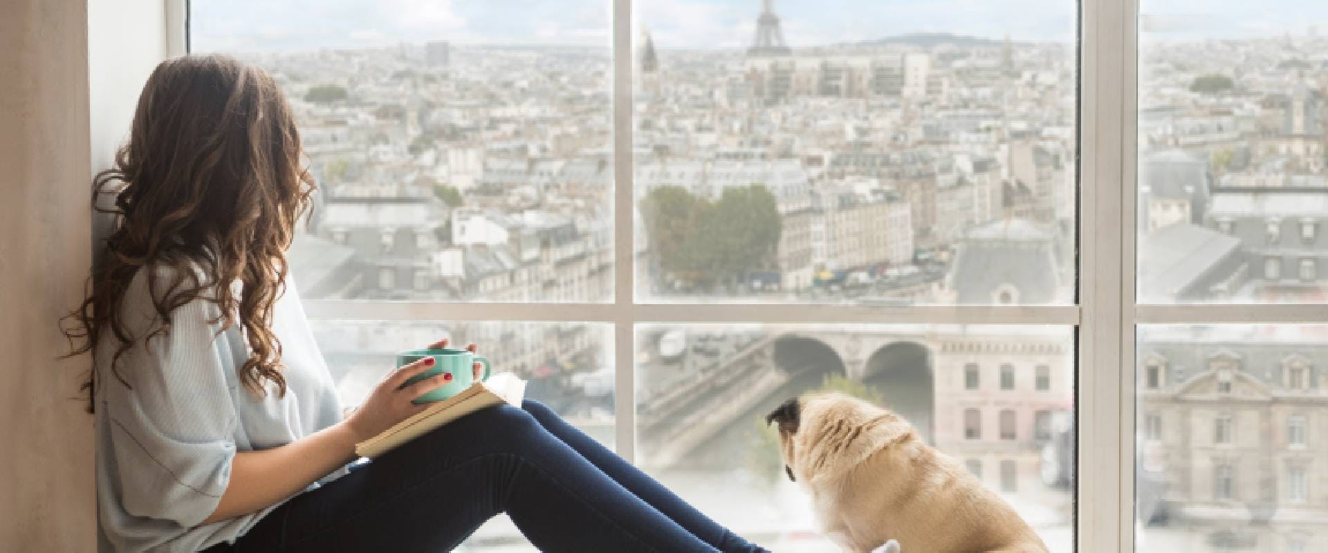 is paris a dog friendly city