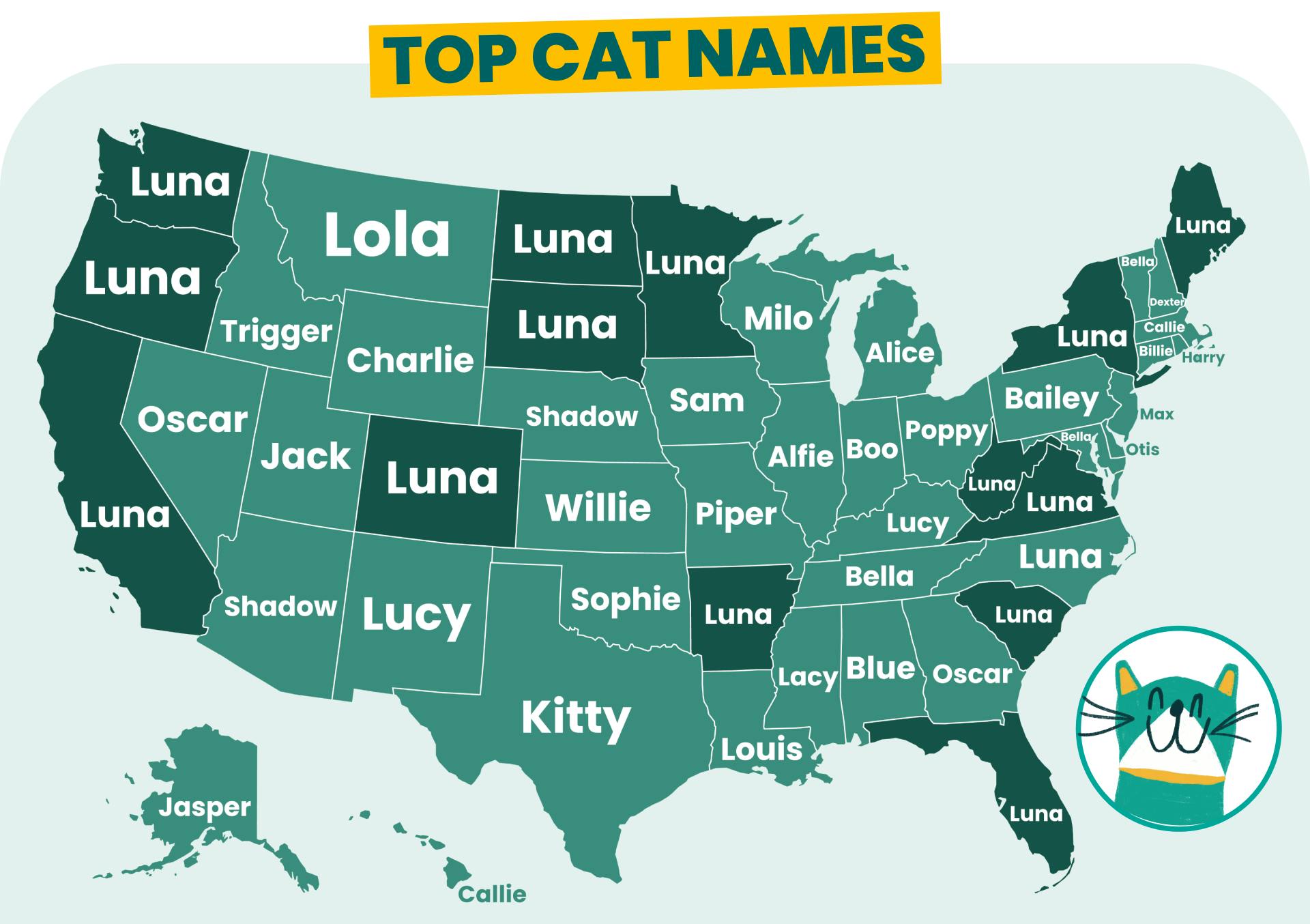 Top cat names by US state