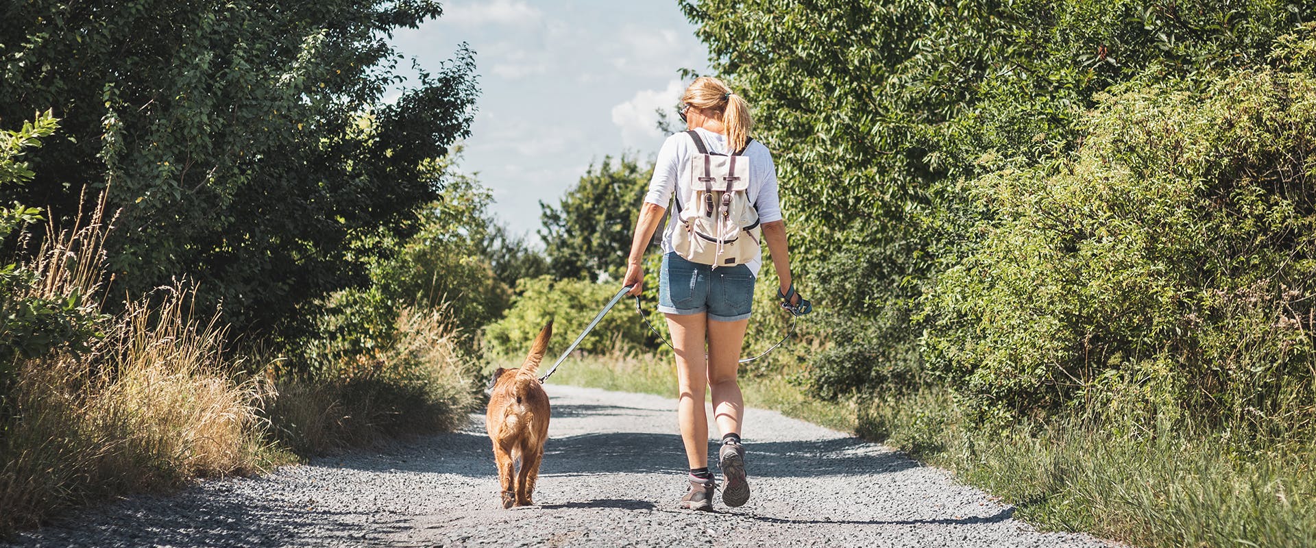 A woman walking her dog in the countryside