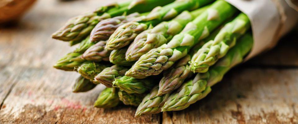 Asparagus best sale and dogs