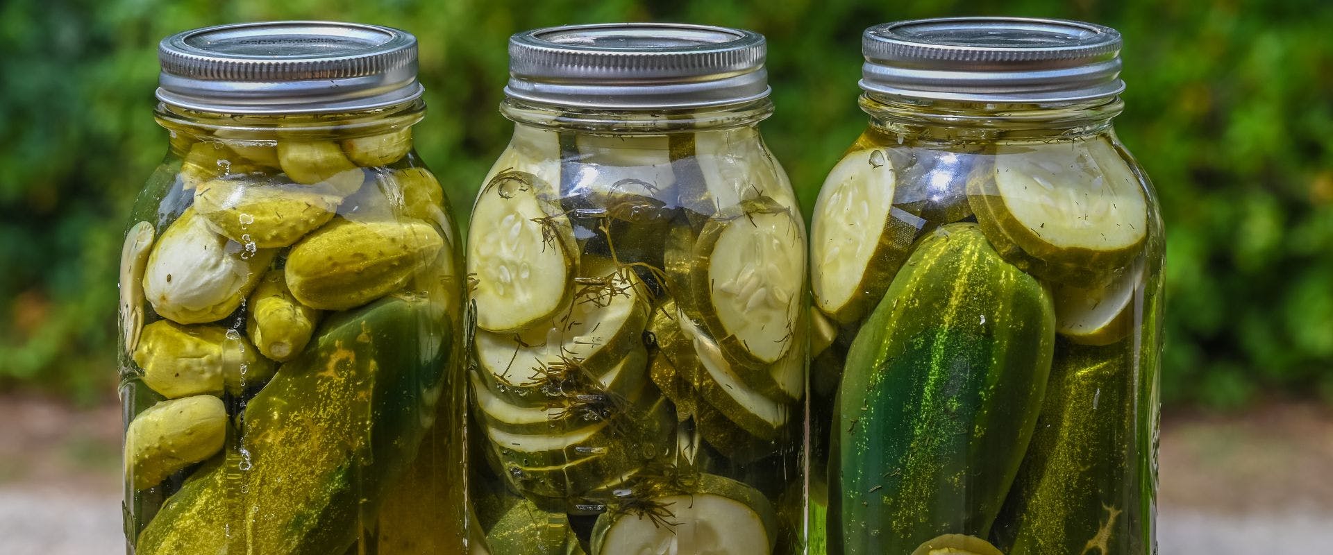 Three jars of pickles