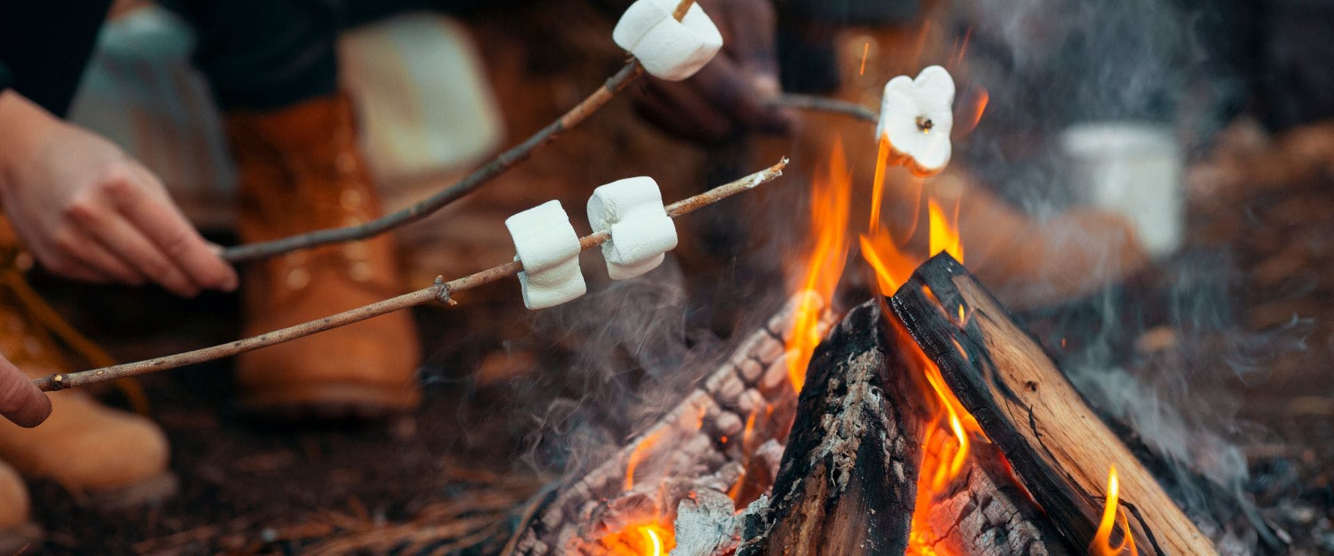 Marshmallows being toasted on a fire