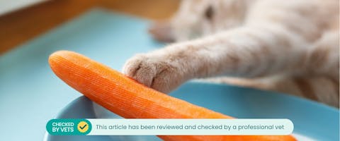 A cat laying down, reaching out its paw to touch a peeled, raw carrot