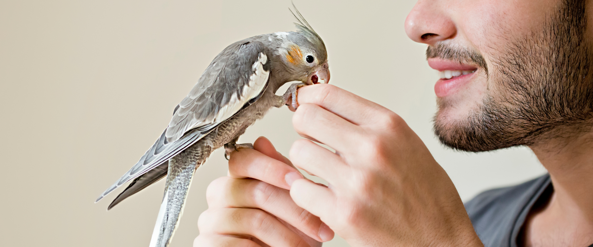 A man holding a bird.