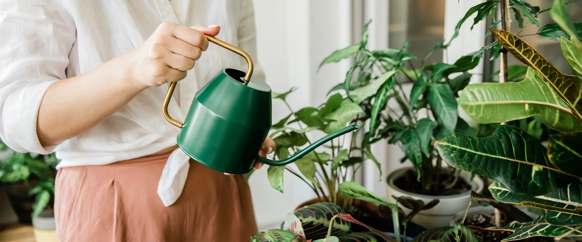 A woman waters some indoor plants.