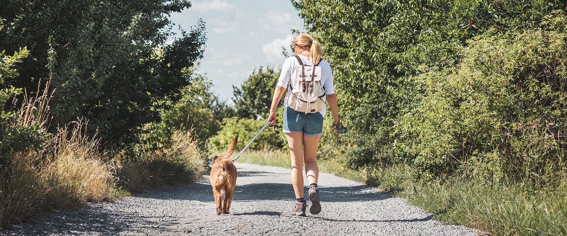 A woman walking her dog in the countryside