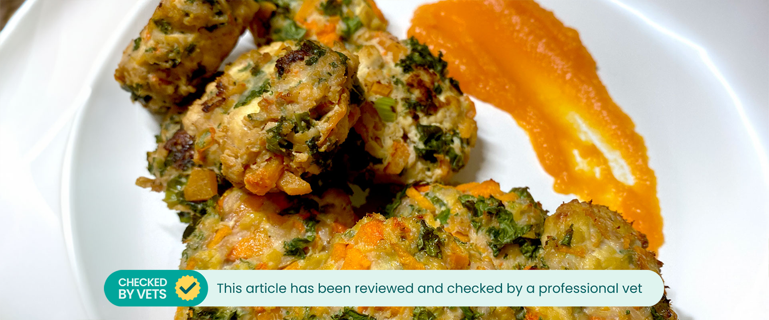 homemade chicken dog treats recipe