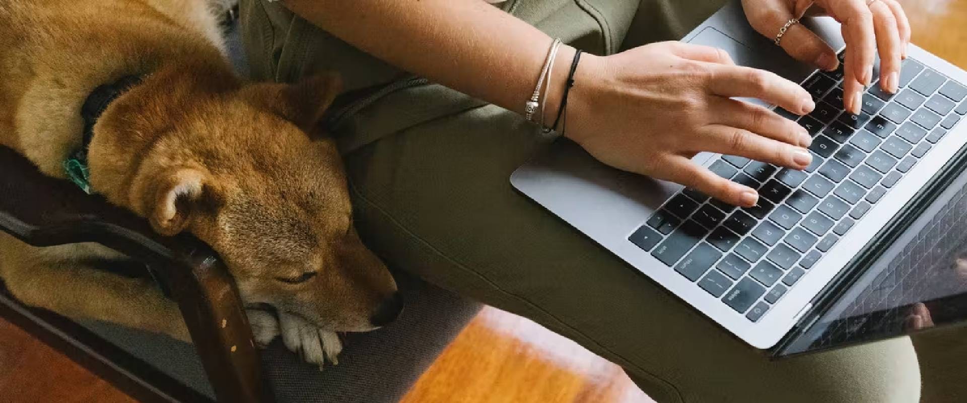 Person using a laptop and a dog sitting on the chair next to them