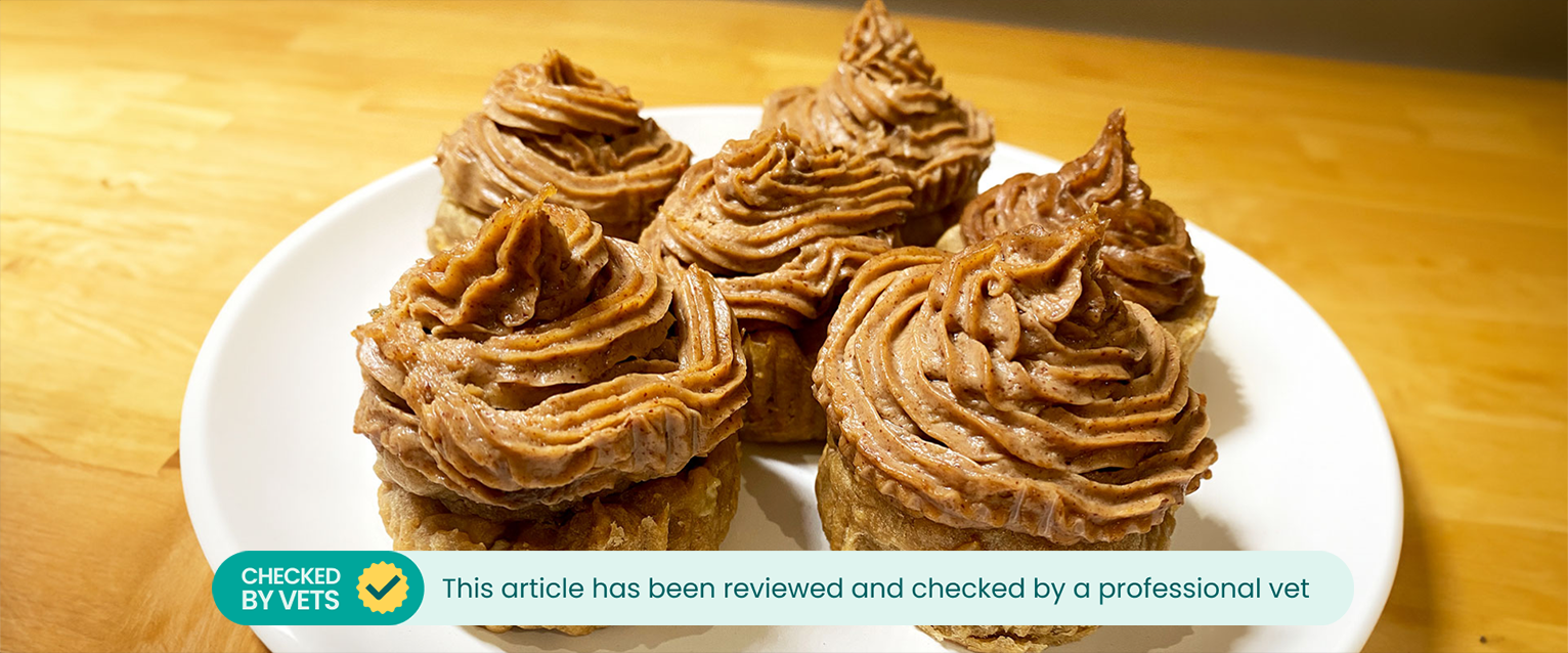 cupcake recipe for dog treats with banana and peanut butter