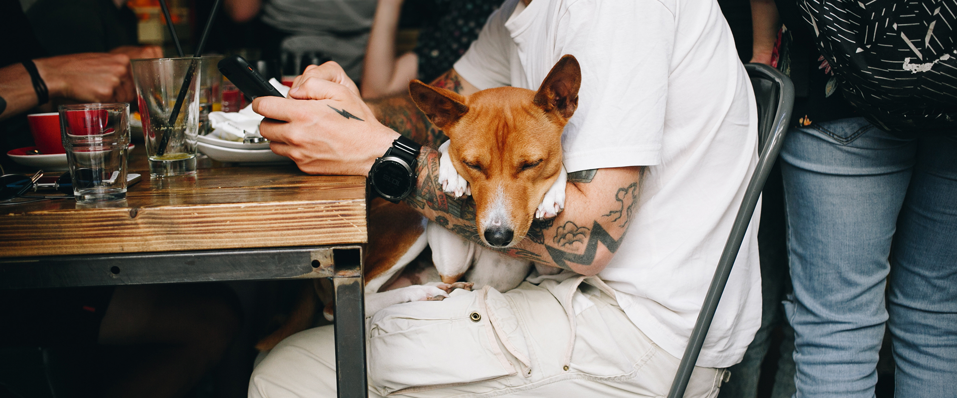 Dog Friendly Restaurants Los Angeles