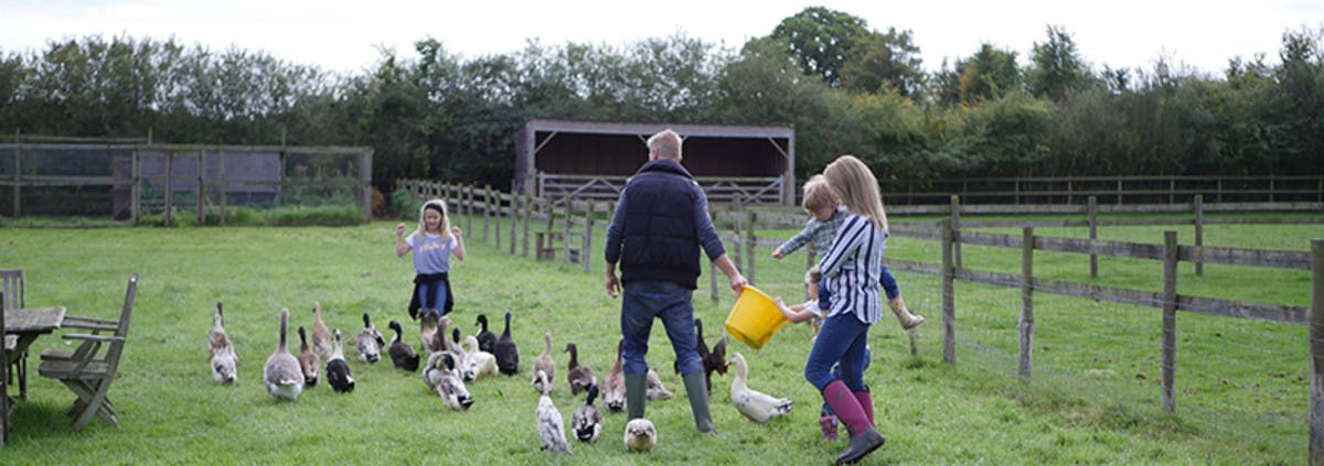 Tv Vet Dr Scott pet sitting with his family.