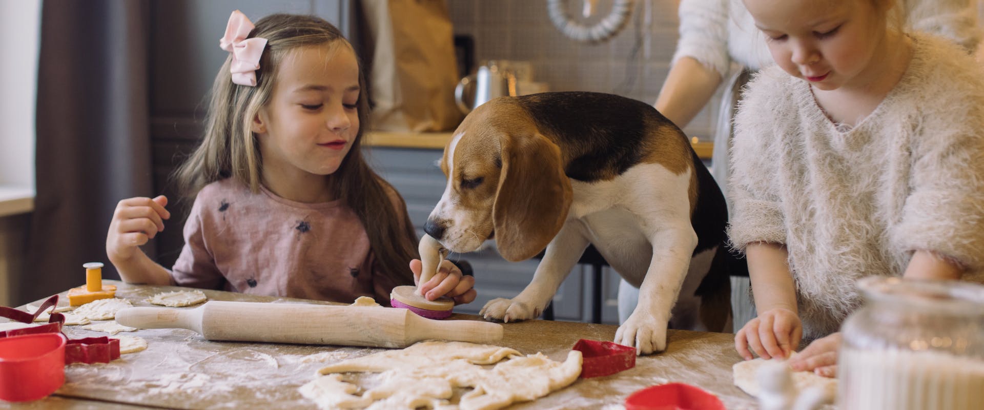Some children and a Beagle making some dog Christmas cookies.