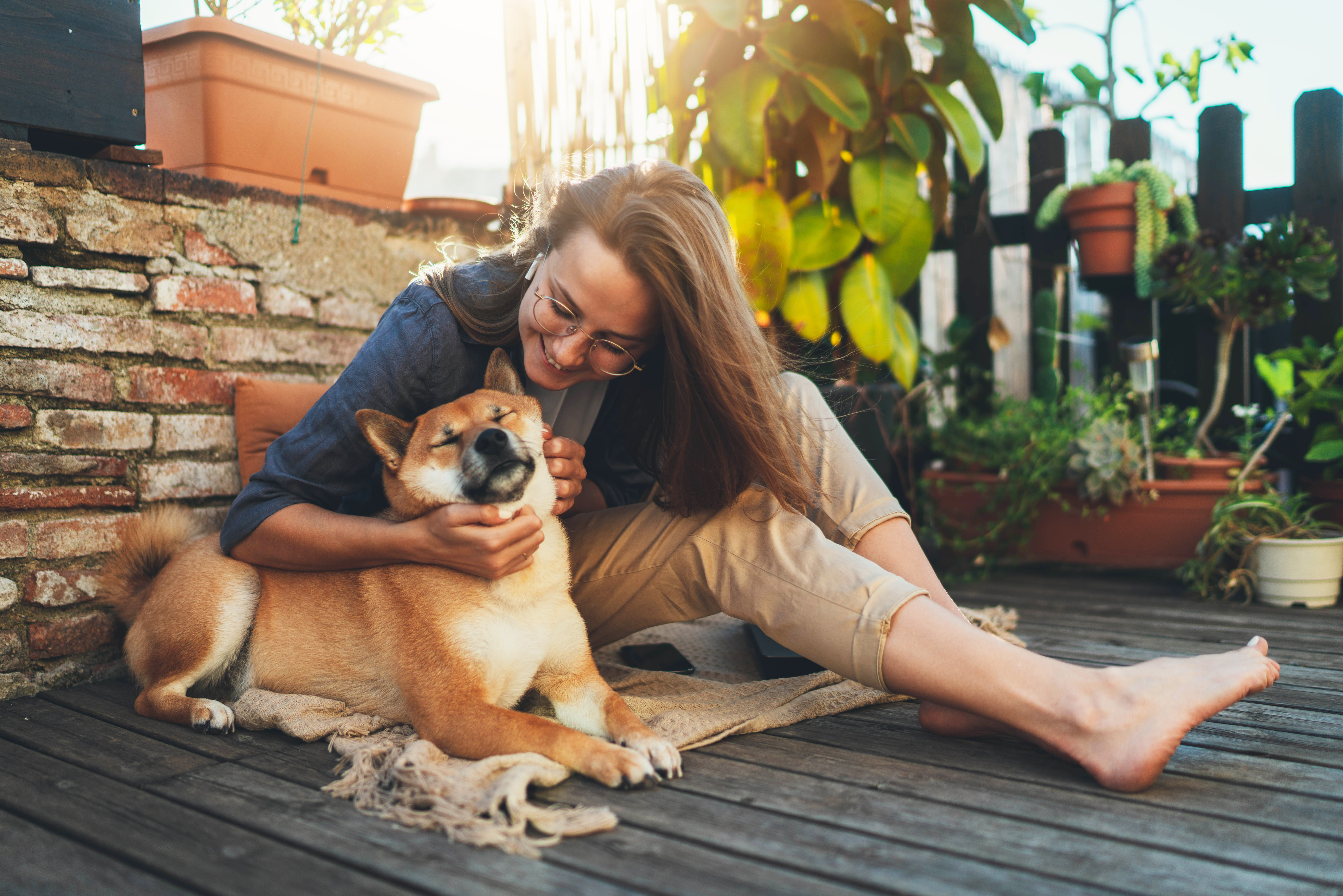 Woman hugging a Shiba Inu dog
