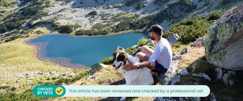man and large dog sitting in the sun on the edge of a valley and lake