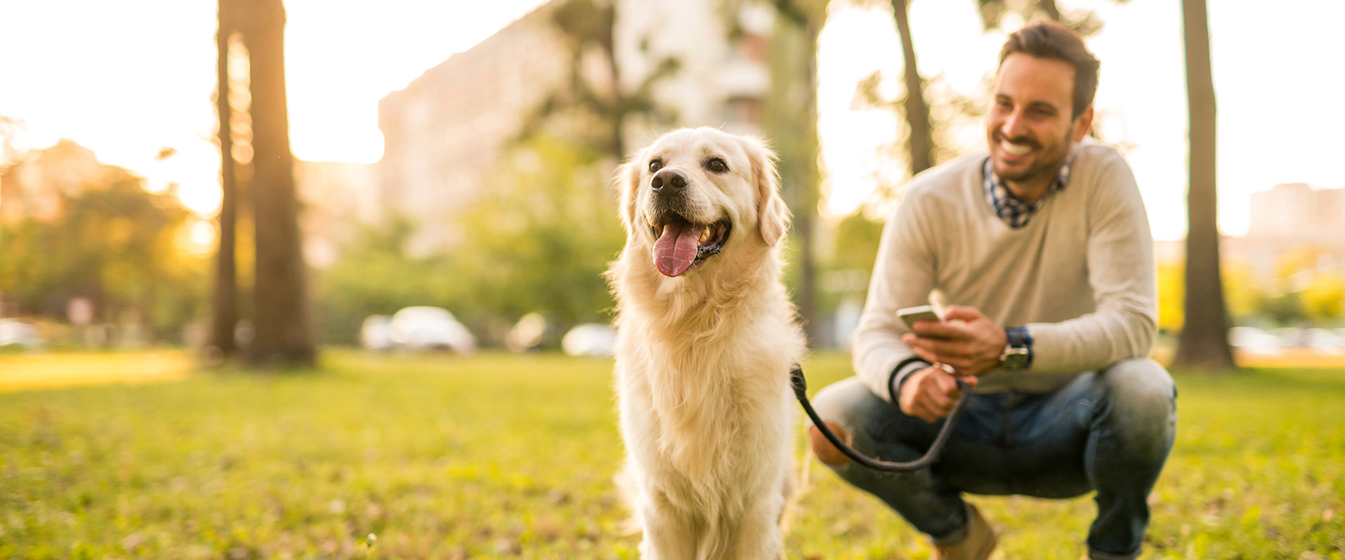 Level Up Your Walkies at These Dog Parks, San Francisco