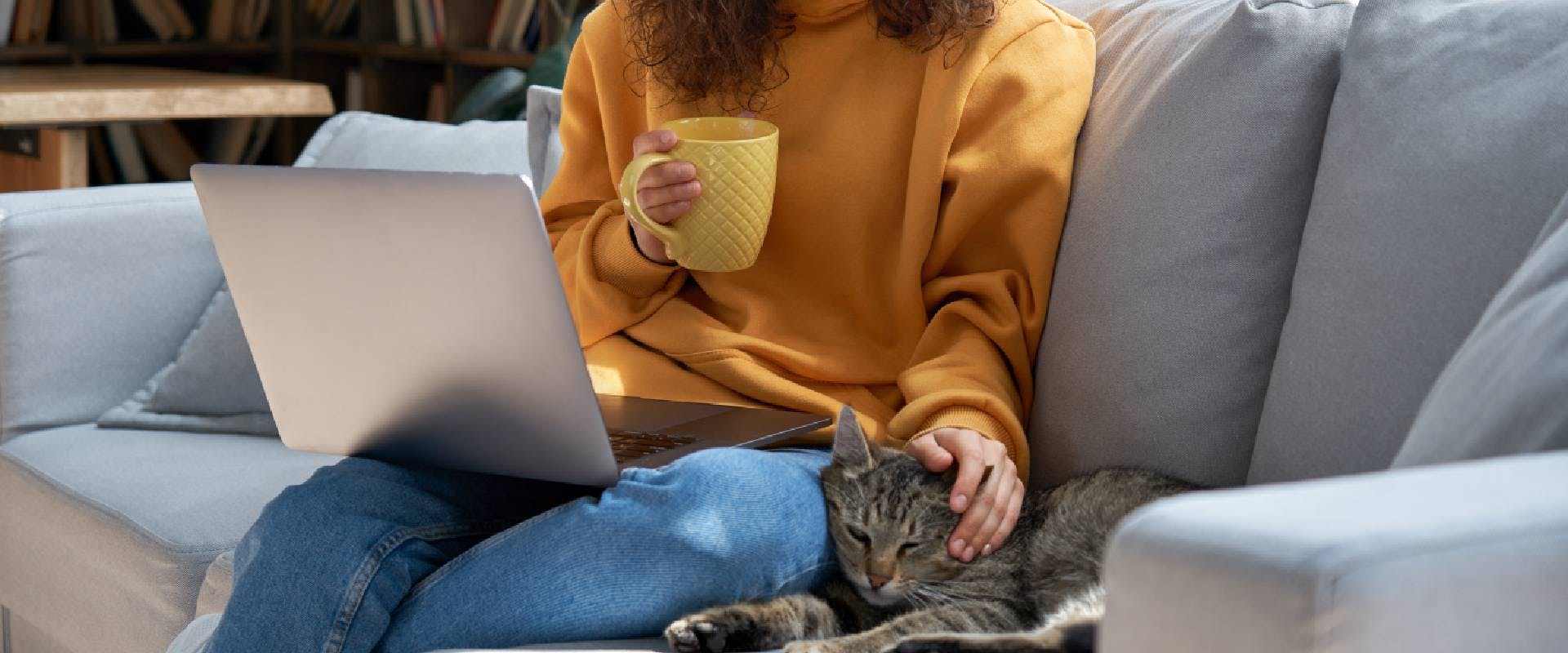 Person sat on a sofa with a laptop, petting a cat